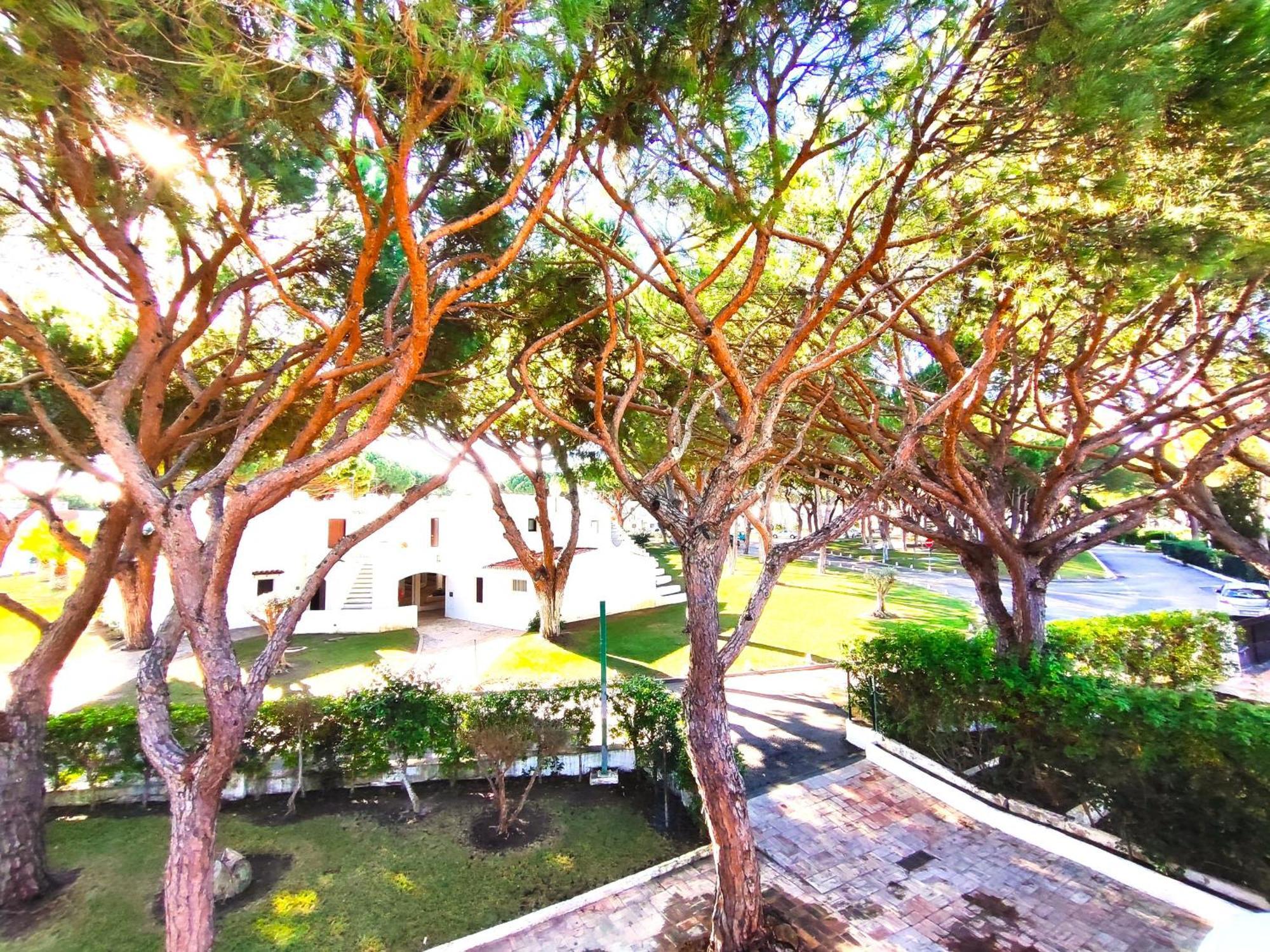 Albufeira Acoteias Villa With Pool By Homing Exteriör bild